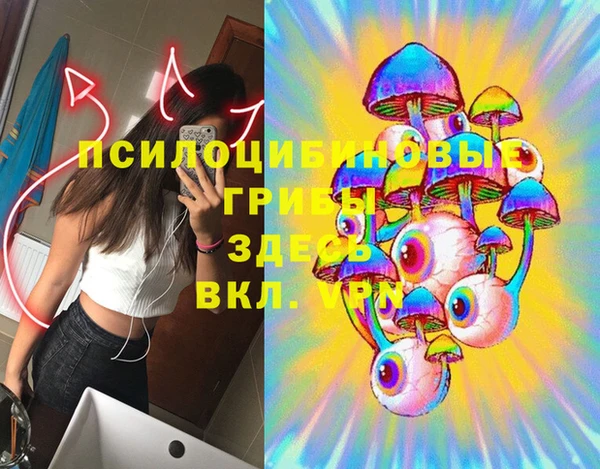 PSILOCYBIN Белоозёрский